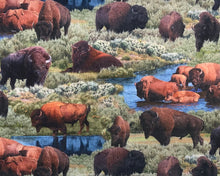 Load image into Gallery viewer, Close up of Buffalo fabric